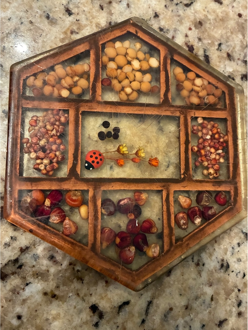 Hexagon resin trivet with dried flowers and seeds